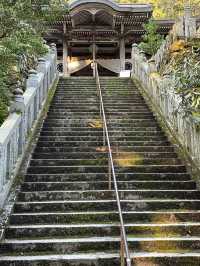 🇯🇵【愛媛】国宝（本殿）！！！大寶寺(^^)
