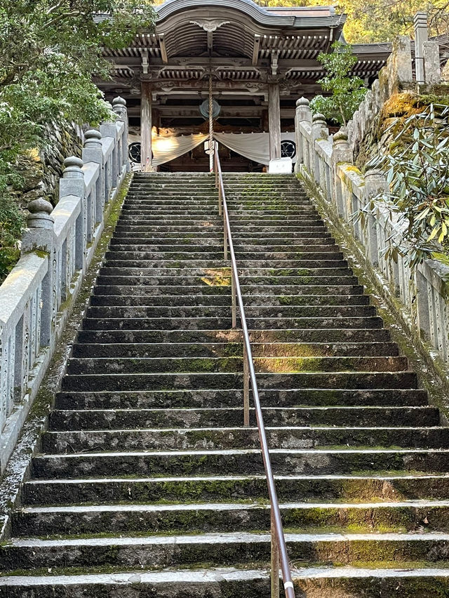 🇯🇵【愛媛】国宝（本殿）！！！大寶寺(^^)