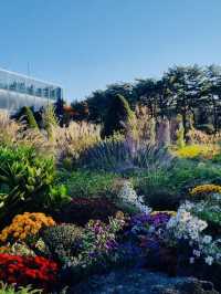 Spring Blooms and Serene Landscapes