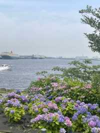 【東京×台場】海と紫陽花、船のコラボ写真が撮れるスポット