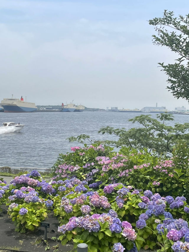 【東京×台場】海と紫陽花、船のコラボ写真が撮れるスポット