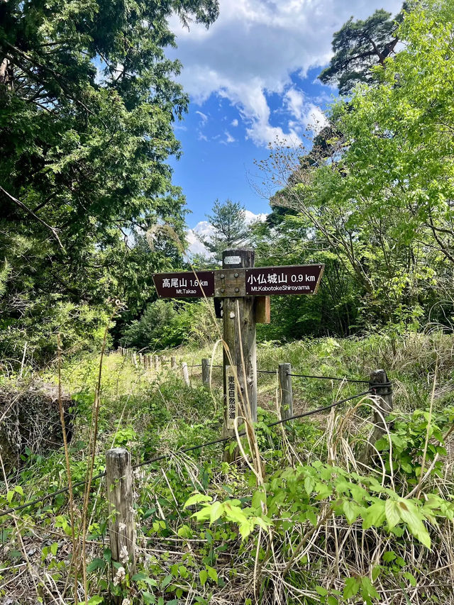 【高尾山】都心から電車で行ける高尾山⛰️