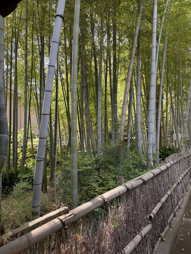 📍妙福寺/東京