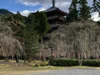 伝統ある町、京都