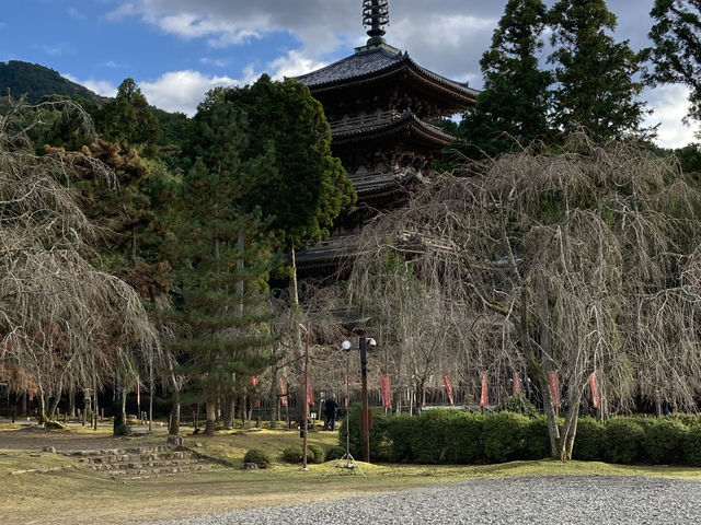伝統ある町、京都