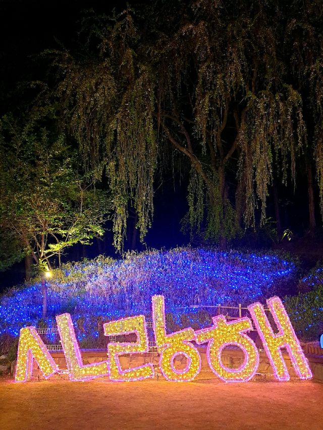 서대문 봄빛 축제 🌷 별빛에 더 화사해지는 밤 ⚘