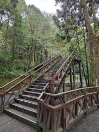 # 阿里山國家森林遊樂區-嘉義縣阿里山鄉