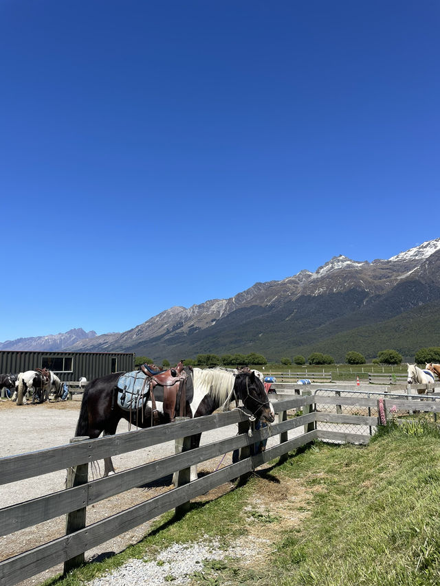 紐西蘭南島｜Glenorchy｜魔戒小鎮的馬背旅行，最接近天堂的地方