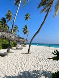 beach in maldives