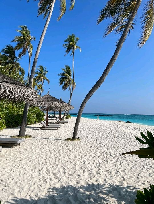 beach in maldives