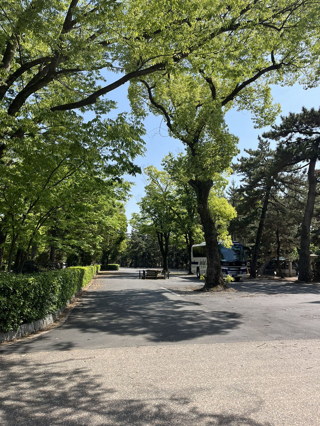 学問の神様に願いを込めて。四季を彩る北野天満宮の魅力