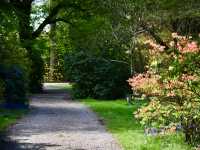 A Peaceful Break at Weston Park, Sheffield