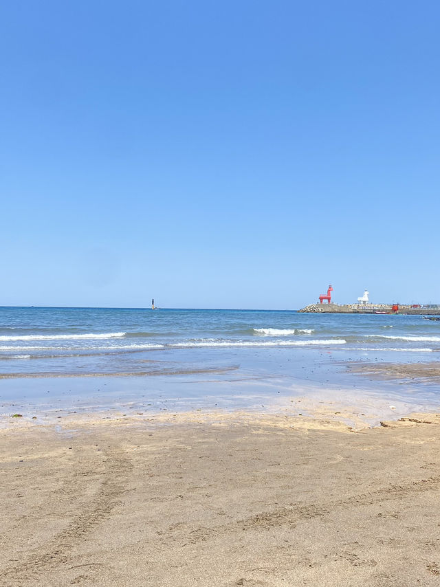내멋대로 제주 3박4일