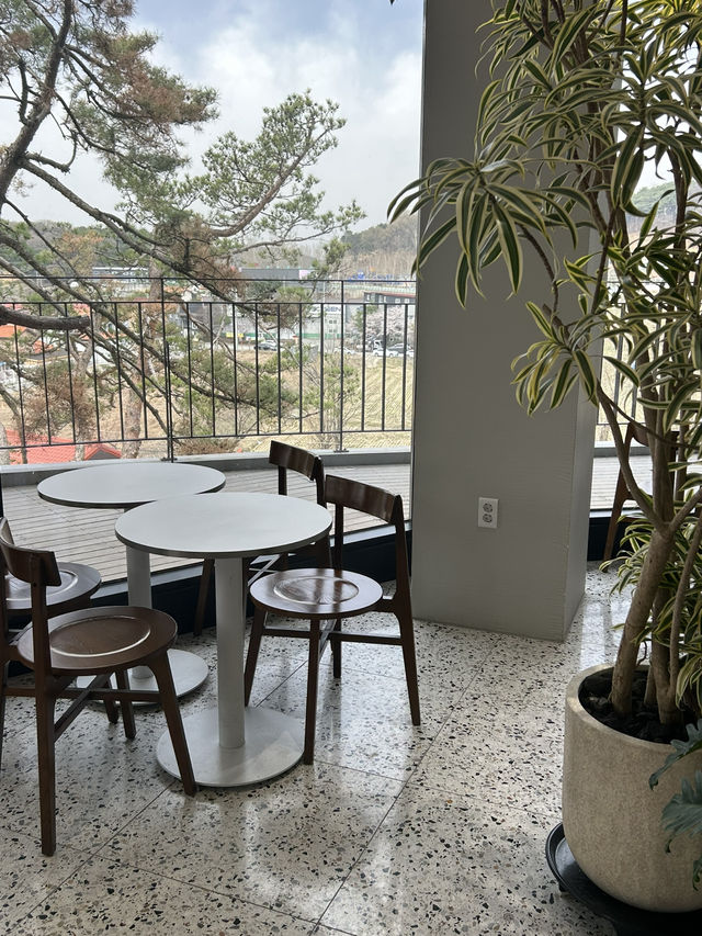 ☕️맛있는 베이커리와 시원한 통창! 드라이브하면서 들리기 좋은 청주 대형 카페 🤍