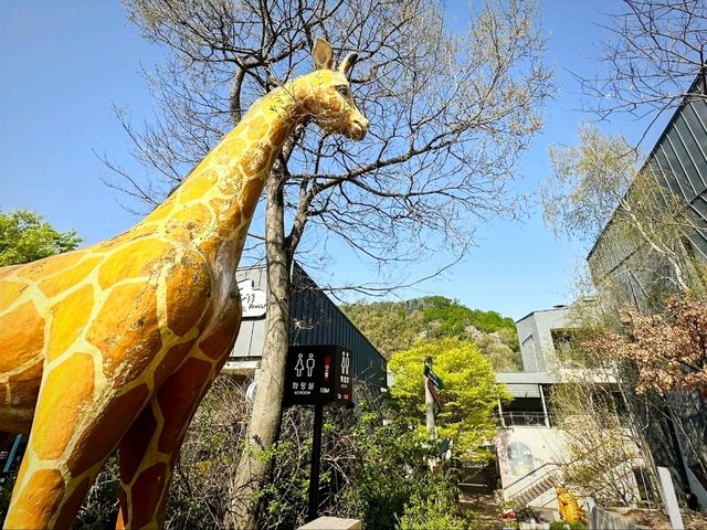 ✨ **首爾近郊必訪景點：坡川與抱川藝術谷的文化與購物探索** ✨  