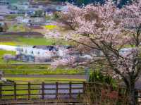 “Whispers of Spring: Sakura Serenity in Yufuin” 