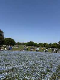 📍 国営昭和記念公園（東京都)