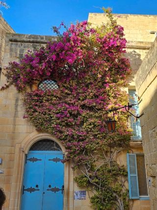 Filming Location of Game of Thrones in Mdina