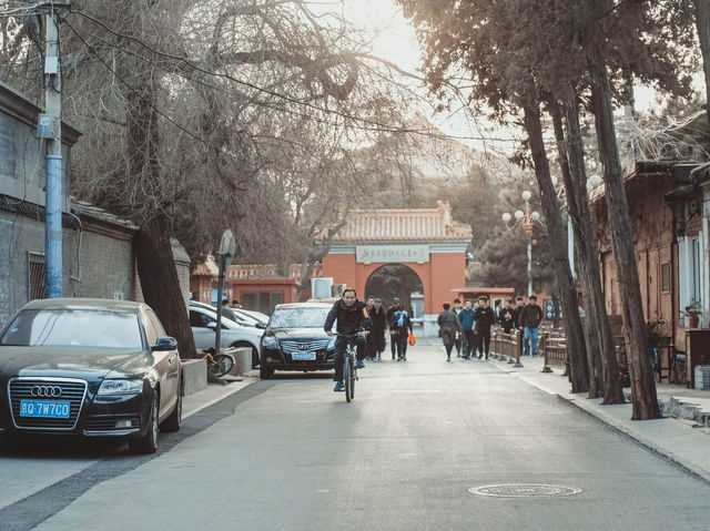 เดินเล่นทั่ว BEIJING ในฤดูใบไม้ผลิ 🌿🌸
