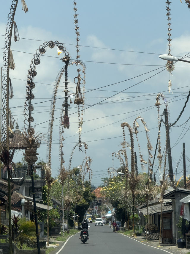 Exploring Ubud A Serene Escape into Bali