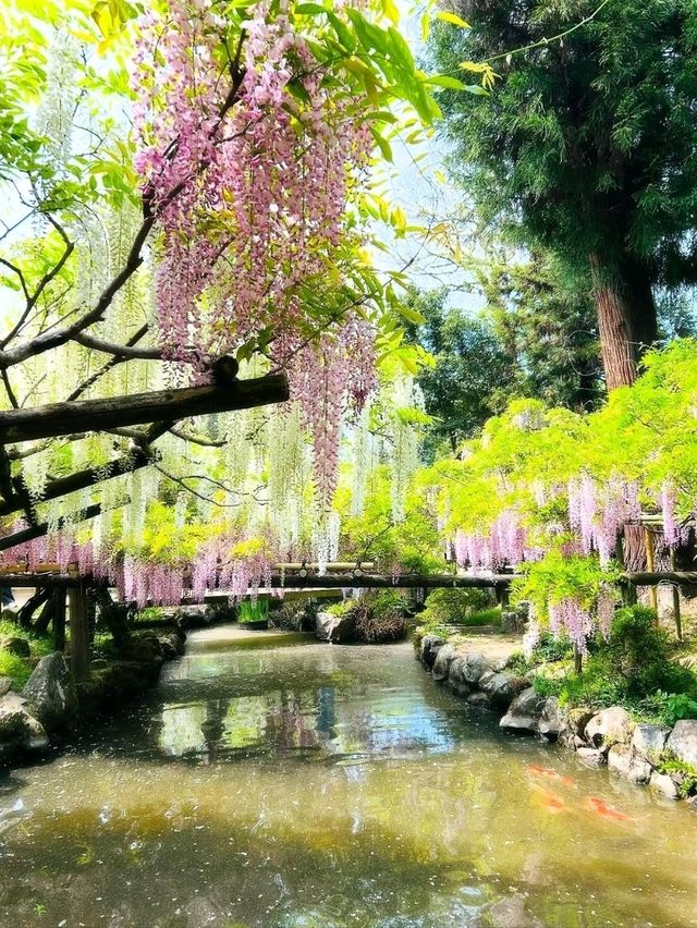 Peaceful, Pretty, and Super Relaxing