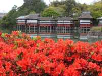 Shrine with Major Flower Power