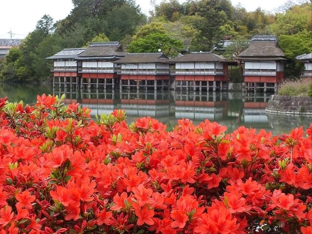 Shrine with Major Flower Power