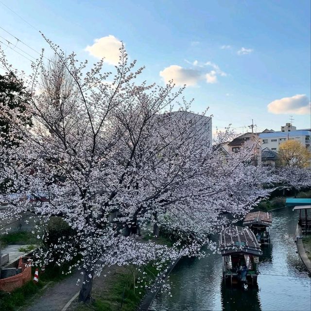 Cruisin’ the Canal