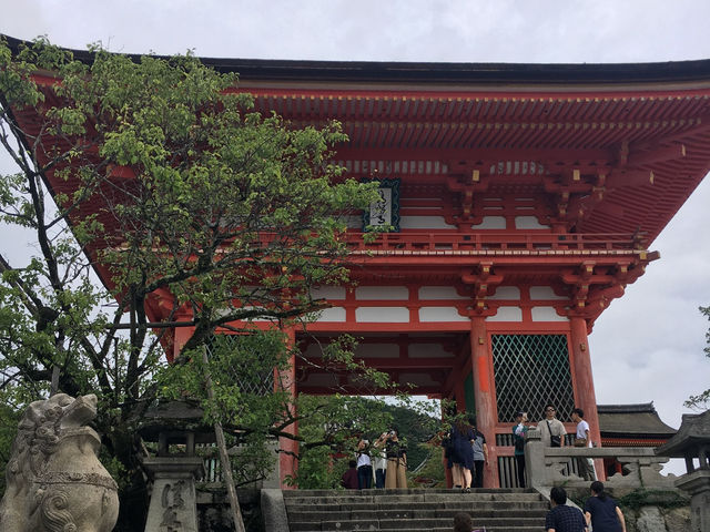 🏯 清水寺｜站上木造舞台眺望千年古都風光 