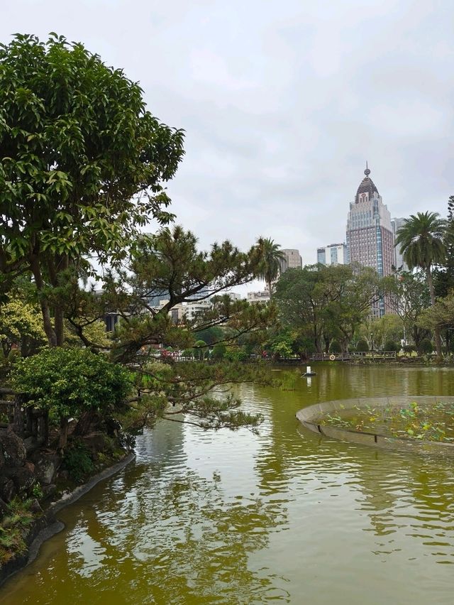 Red Bridge, Calm Lake – Taipei’s Hidden Beauty