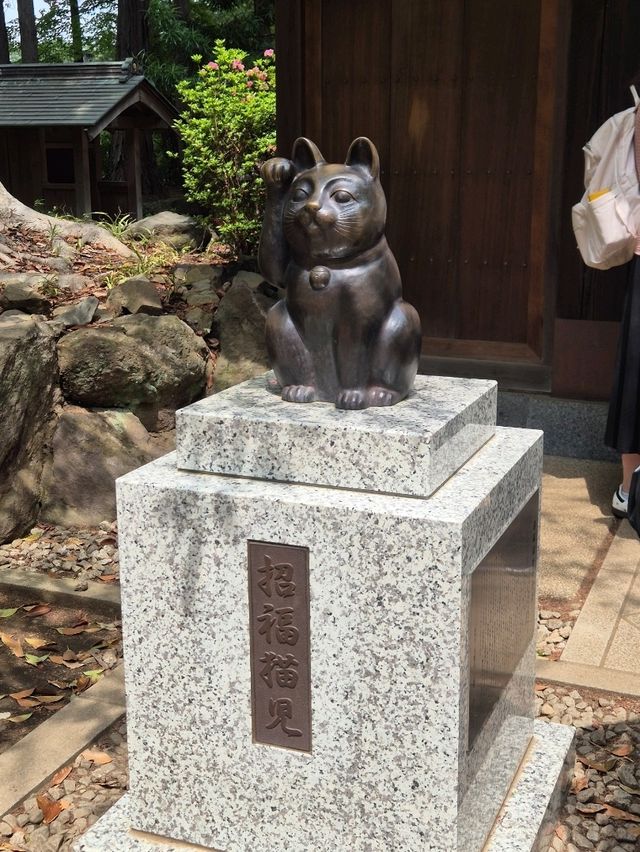 🐾 고양이 덕후 필수 코스! 도쿄 고토쿠지 신사 방문 후기