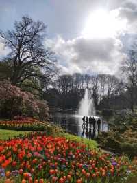 A Blooming Wonderland at Keukenhof Gardens 🌷