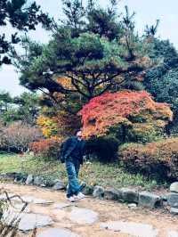Discovering Daegu: A Perfect Blend of Tradition and Modernity