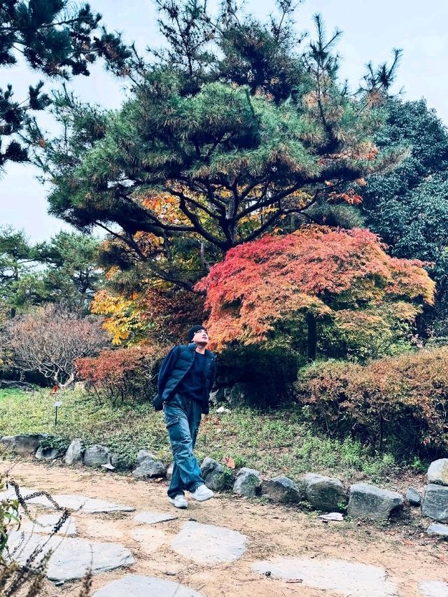 Discovering Daegu: A Perfect Blend of Tradition and Modernity