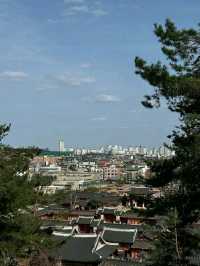 Suwon in Bloom: Cherry Blossoms Amidst Historic Beauty