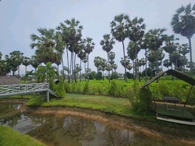 ต้นตาล คาเฟ่ คาเฟ่ลับแห่งอ.บ้านลาด จ.เพชรบุรี