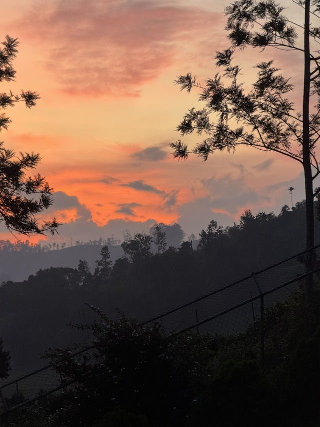 2 Days in Badulla – A Journey Through Nature and Culture