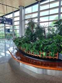 A NATURE MESSAGE FOR EVERY TRAVELLER IN KUNMING CHANGSHUI AIRPORT