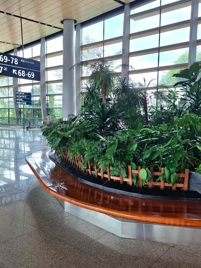 A NATURE MESSAGE FOR EVERY TRAVELLER IN KUNMING CHANGSHUI AIRPORT