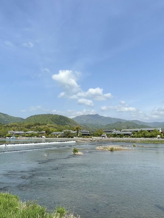 【京都】朝から観光満喫！🌟 京の竹林と鴨川で癒されよう🍃