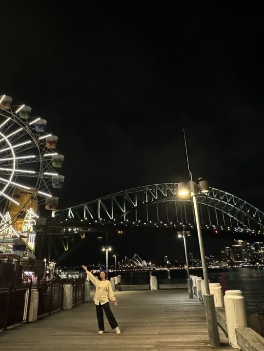 The Massive Grinning Face of Luna Park 