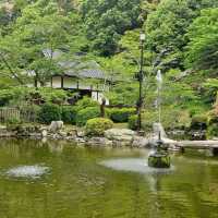 Mystical Encounters at Iwakuni Shirohebi Shrine