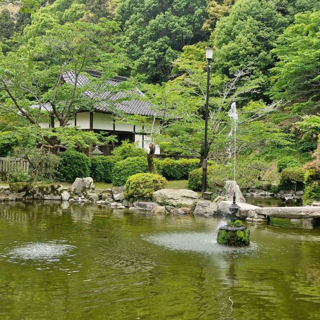 Mystical Encounters at Iwakuni Shirohebi Shrine