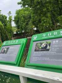 熊貓粉絲必到景點