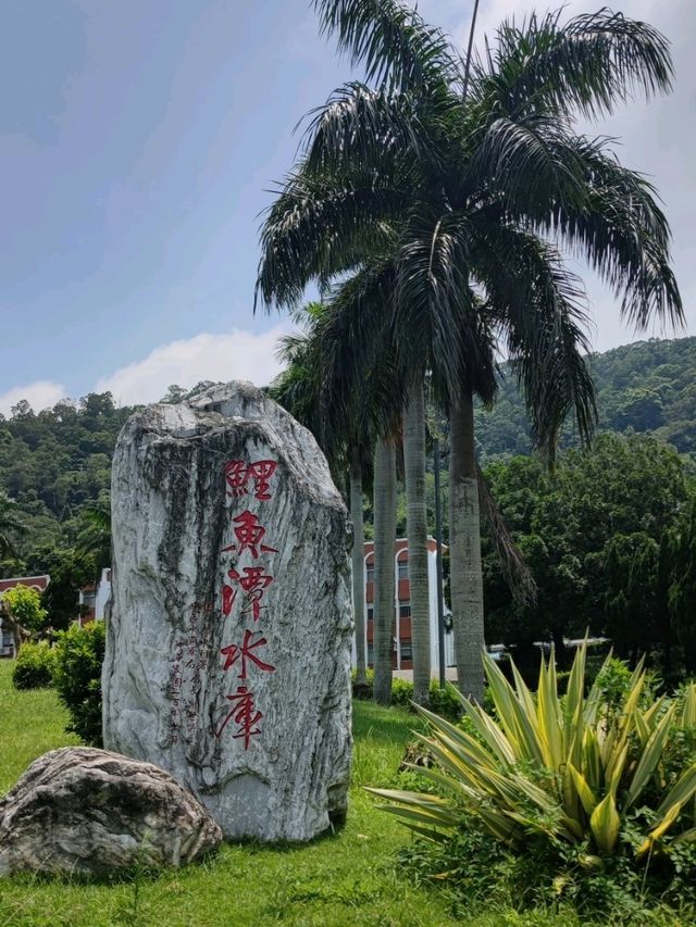 #鯉魚潭水庫-苗栗縣卓蘭鎮