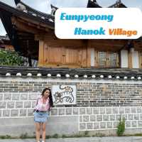หมุ่บ้านอึนพยอง ฮันอก #Seoul🇰🇷