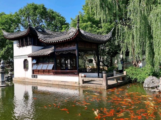 Tongli Ancient Town: A Step Back in Time