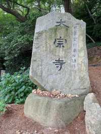 韓國🇰🇷釜山 太宗臺搭Danubi 小火車 六月來賞繡球花超值得！