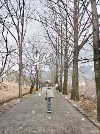 아이와 영주역사여행 [영주 부석사]