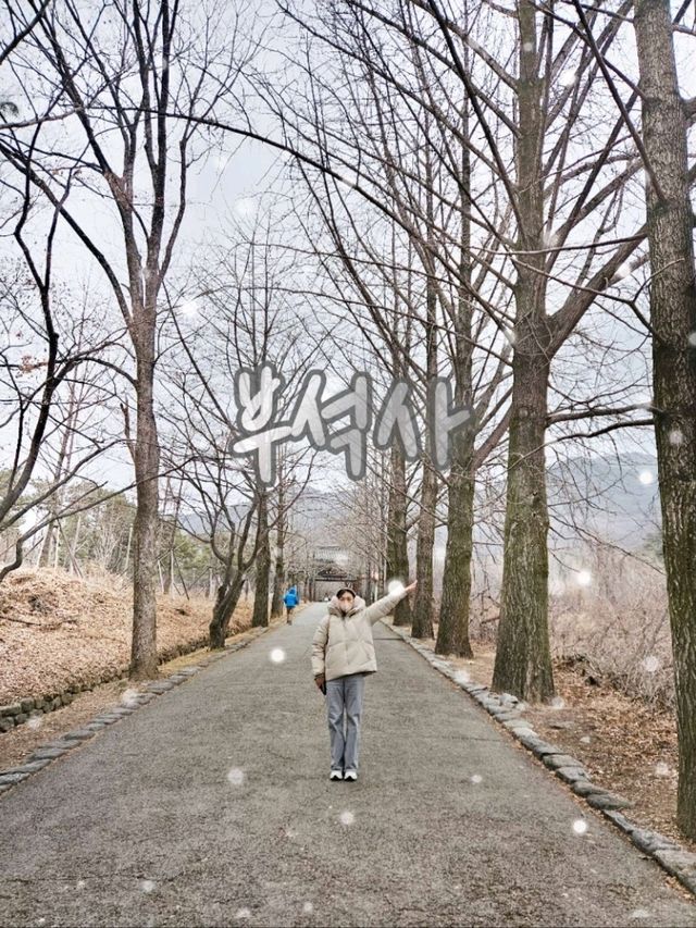아이와 영주역사여행 [영주 부석사]
